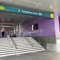 Tampines Street 42 (Tampines),  #557235551